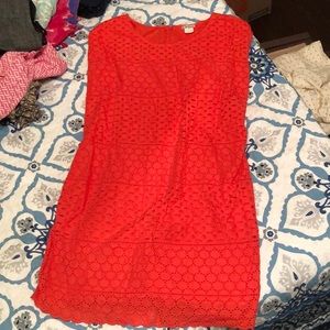 Cole Daniel coral lace dress